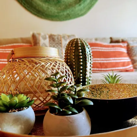 The Cactus Project شقة