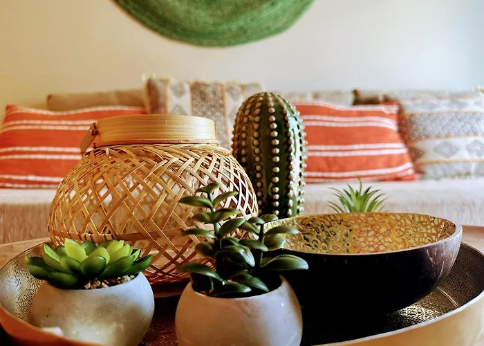 The Cactus Project Апартаменты