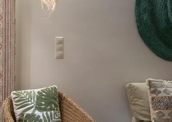 The Cactus Project *